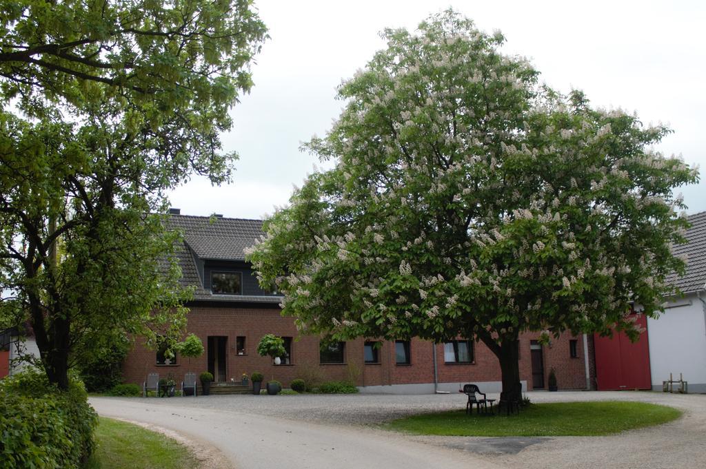 Hardthof - Huertgenwald Apartman Kültér fotó